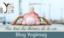 Blog yoga