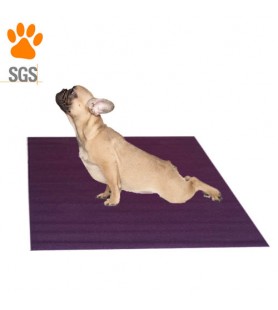 Tapis de yoga pour petit chien