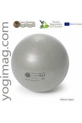 Ballon de Gym Yoga Swiss Ball spécial exercices Securemax 65cm