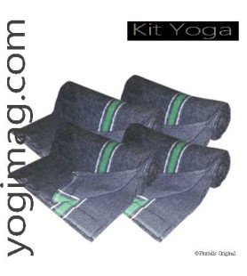 Couverture de yoga Iyengar pas chères- Yogimag