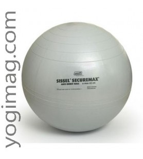 Ballon de Gym Yoga Swiss Ball spécial exercices Securemax 65cm