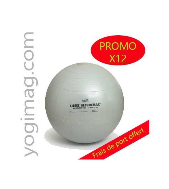 Swiss Ball 65cm professionnel - lot x12