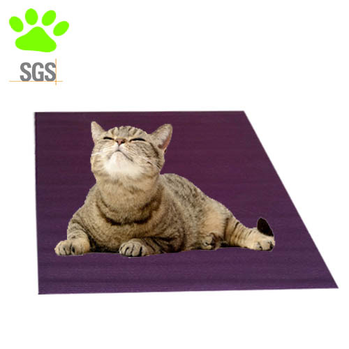 Tapis de yoga pour chat