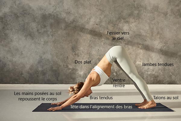 Comment faire la posture de yoga chien tête en bas ?